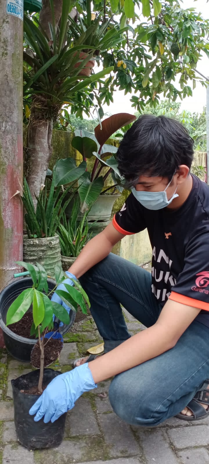 HIMATIKA UMBY Turut Berpartisipasi Hari Menanam Pohon Sedunia