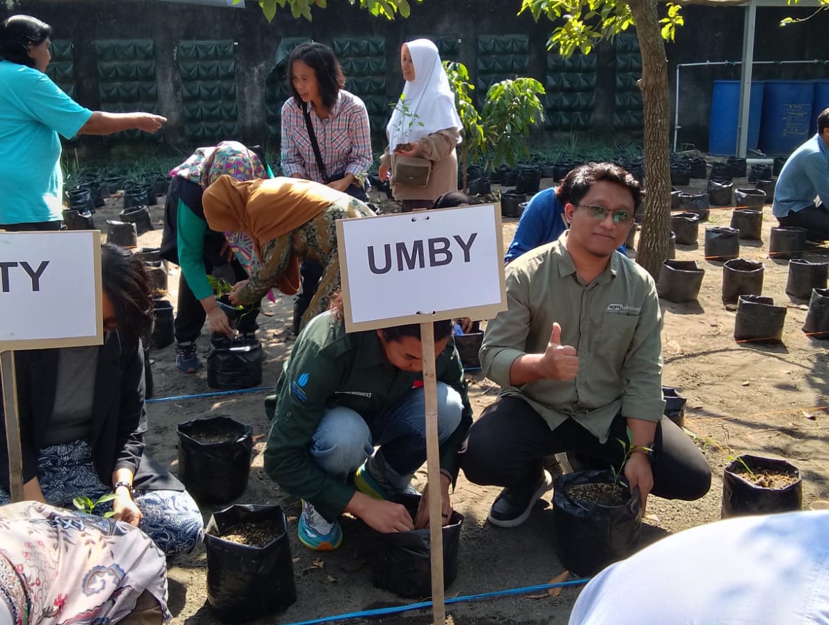 Dukung Ketahanan Pangan, 50 Mahasiswa Agroteknologi UMBY Sukseskan Gertam Cabai 1.000 Bibit di Wirobrajan
