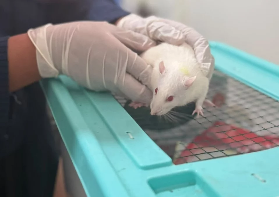 Unisa Yogyakarta Perkuat Ekosistem Riset Lewat Laboratorium Animal House